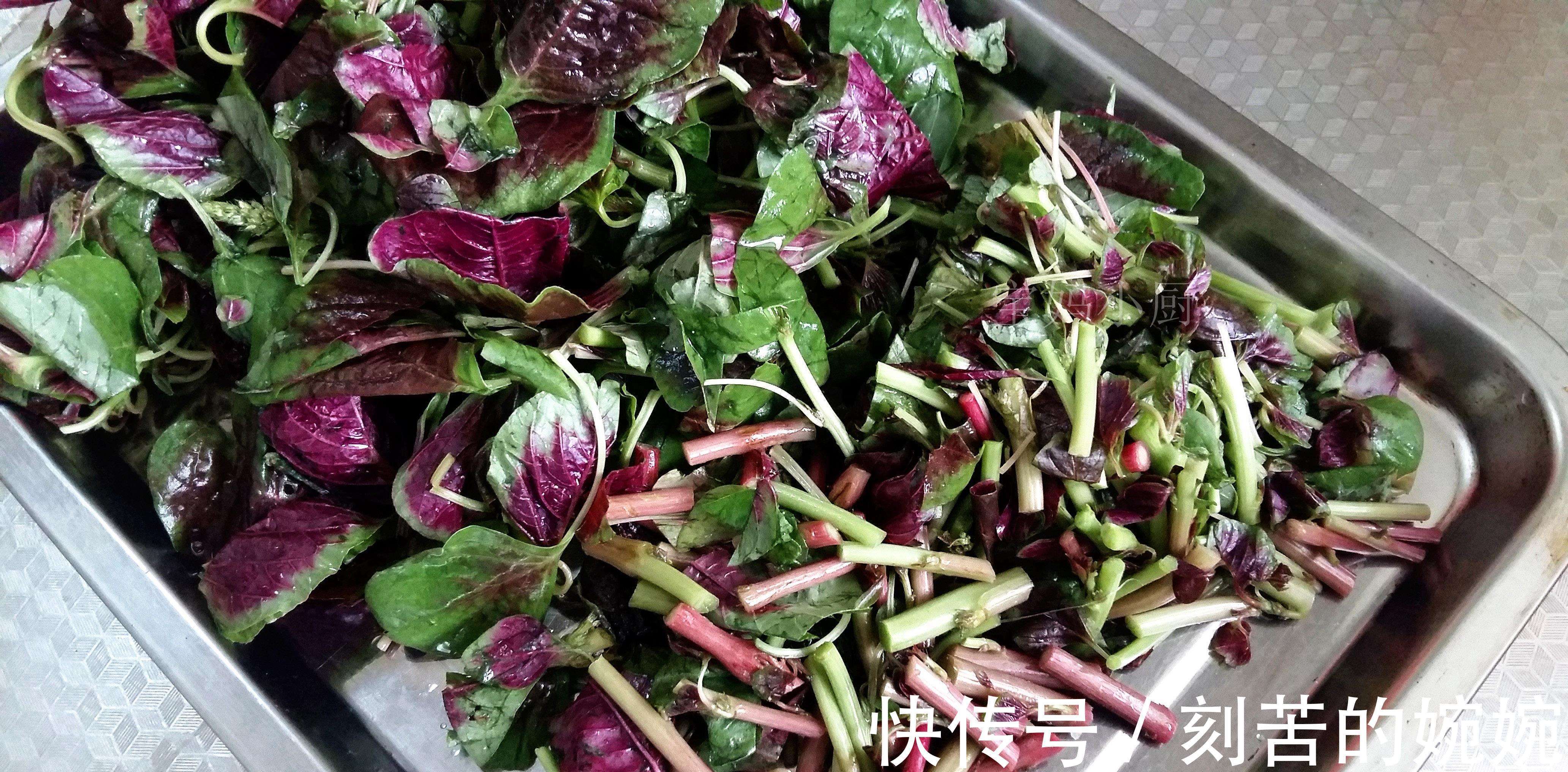 荠菜|常吃这6种野菜，不仅营养丰富、美容养颜，还能增强体质抗衰老