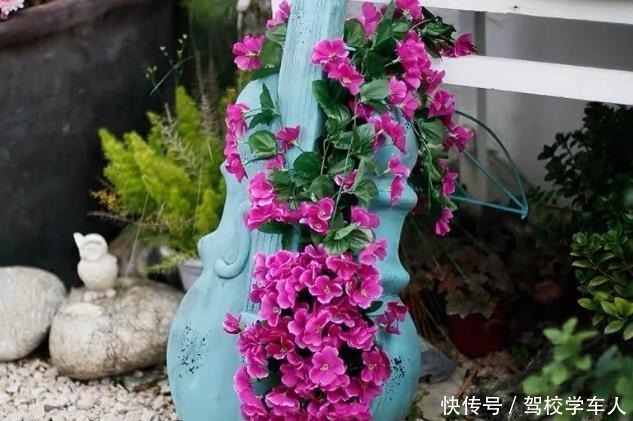 气温突降,养茉莉花、三角梅、仙人球,要狠心“剃光头”!