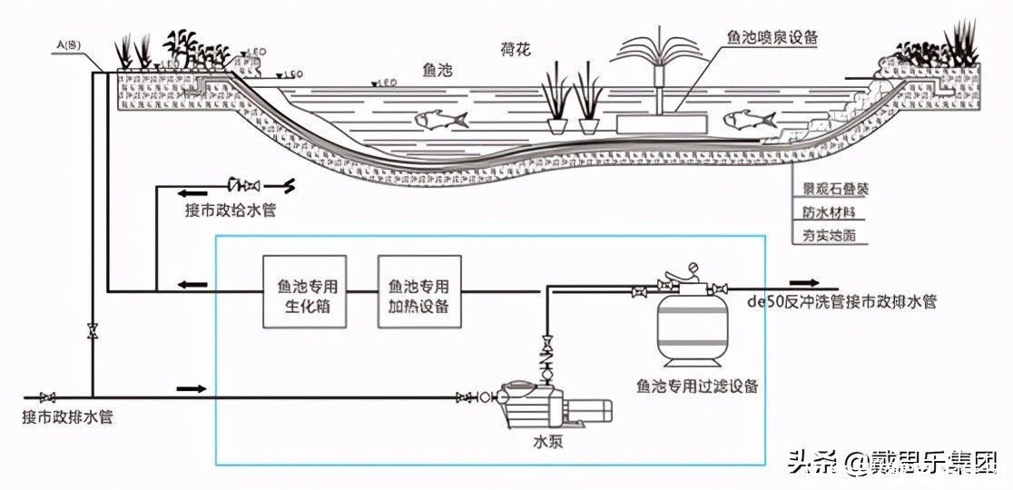 别墅景观鱼池该怎么设计，鱼池的水处理怎么做？99%的人都做错了