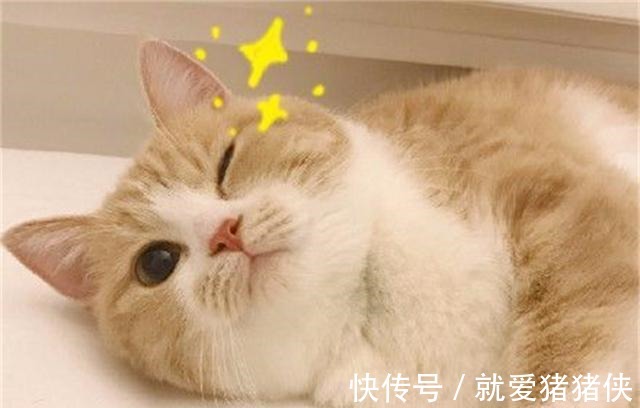 面料|纽约时装周“最火”搭配法，早穿早变时髦精，锁定全年的流行搭配！
