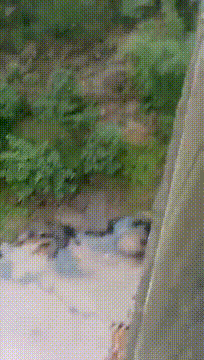 |搞笑GIF:这没什么好笑的,只想告诫大家开车一定要慢,一定要注意安全