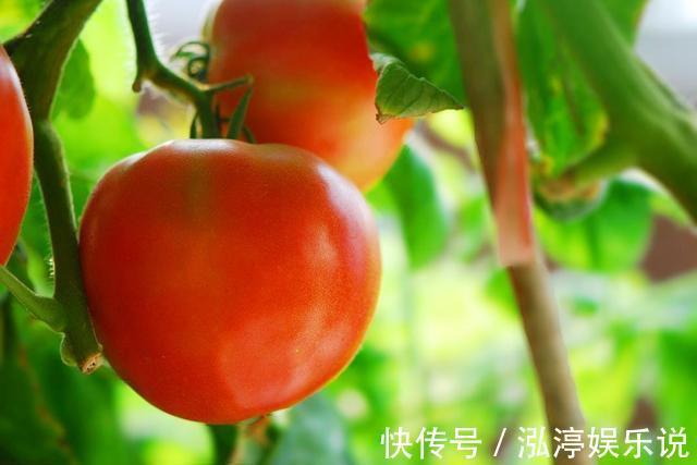 菁菁|孕期最好别吃这6种蔬菜,很有可能影响到宝宝发育,很多人都在吃