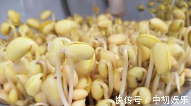在家发豆芽好简单，只需水和豆，5天就发好，脆嫩好吃，干净卫生