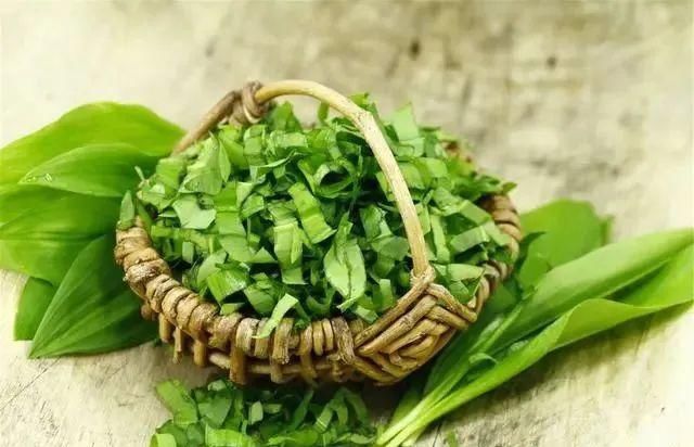 中年|告诫：五种野菜，请停止食用！春来野菜香，记住“3不吃，4不挖”