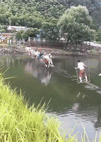 |搞笑GIF段子:如果你拿不出来的话,只能说明你对金子的渴望还不够大