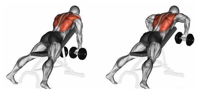 绳索|献给健身小白的六个经典背部训练动作，赶紧收藏，以后慢慢学