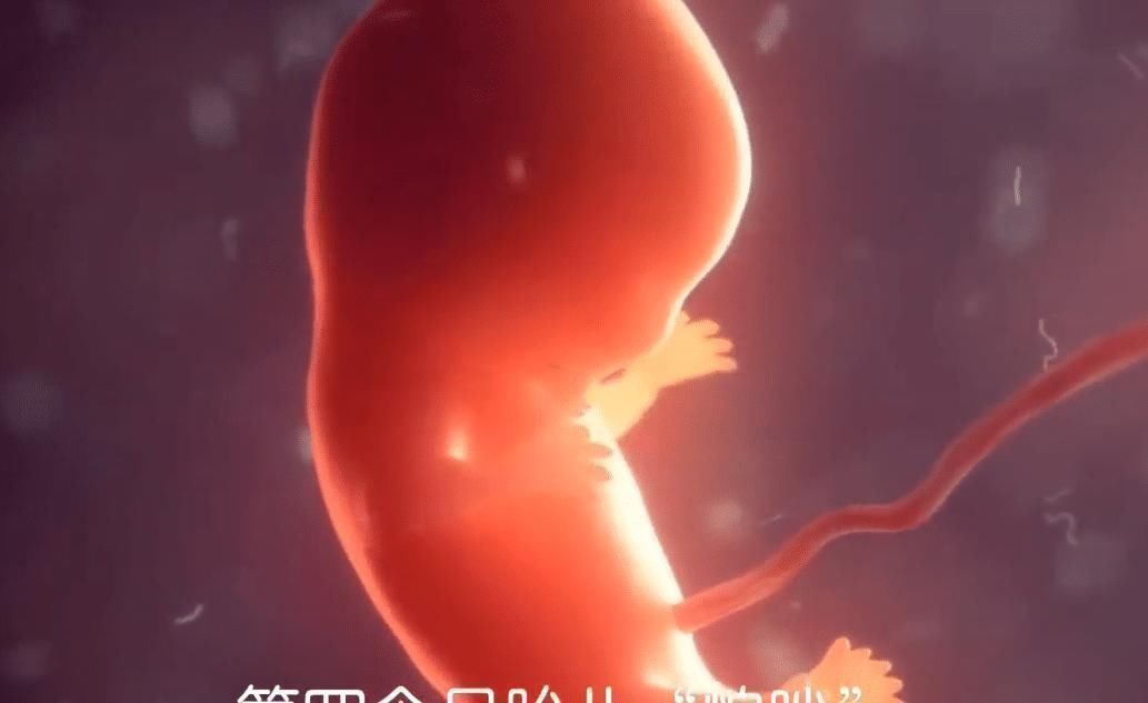 小尾巴|胎儿在孕妈肚子里最怕啥怀胎十月,每个月都有不同的“脆弱点”
