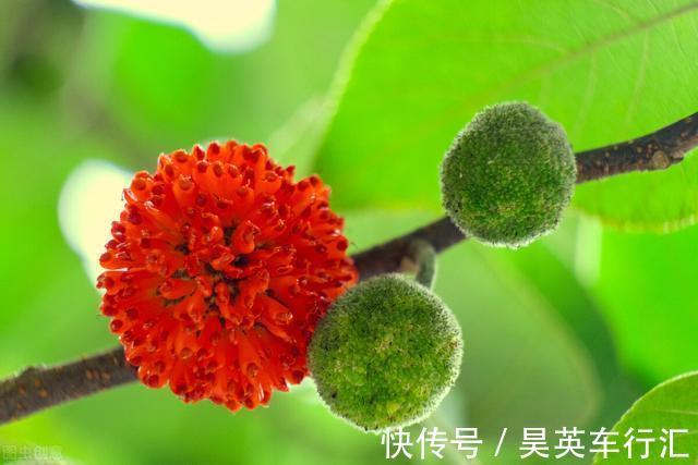 立秋过后怎么钓鱼？想要钓得好，秋季钓鱼要注意这几点