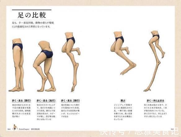 用人体|被伊藤润二支配的恐惧!日本插画师另类思路引话题