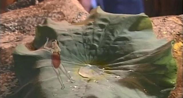 重塑|师傅为哪吒重塑莲花化身,叮嘱以后要助姜子牙扶周灭纣