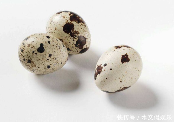 鵪鶉蛋|鵪鶉蛋也是珍貴的“藥材”,堅(jiān)持長期吃,不比燕窩差