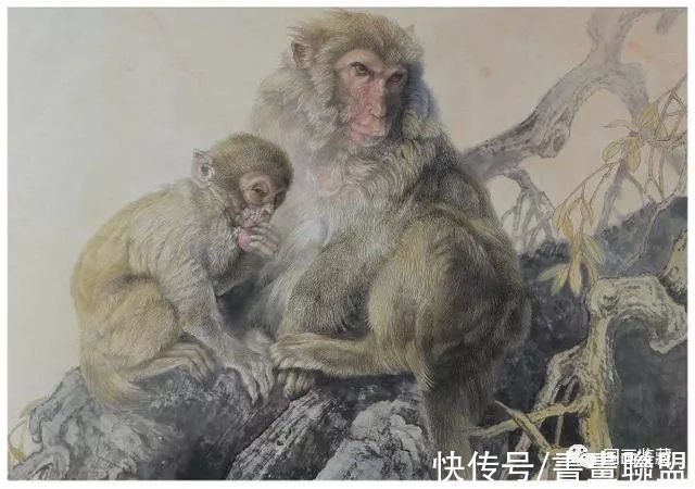 电吹风！国画工笔画动物猴子绘画技法步骤解析，惟妙惟肖的工笔猴画欣赏