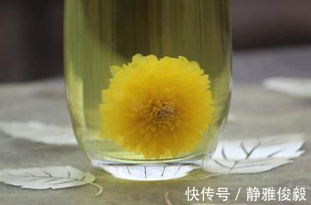 养肝明目|没事用菊花泡水喝, 3个好处手到擒来, 不知道的人可惜了!