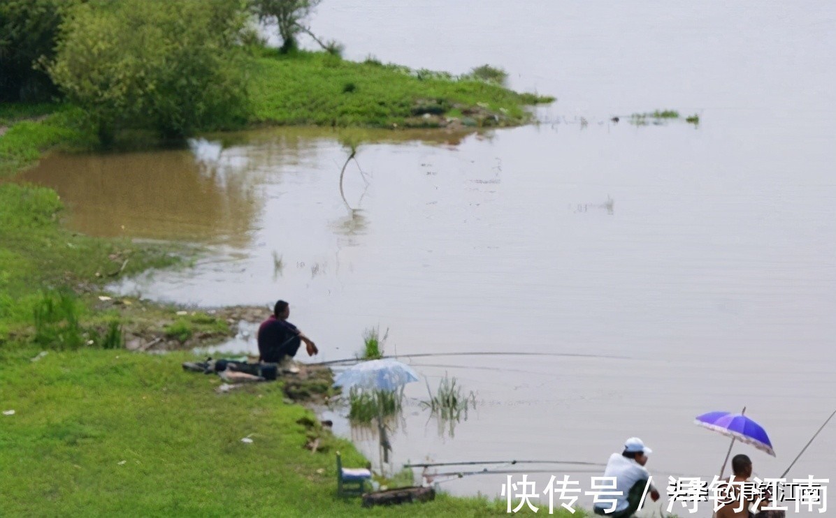 钓鱼|暴雨涨水好钓鱼？别轻易相信。老司机倾情透露这几点，别再错过了