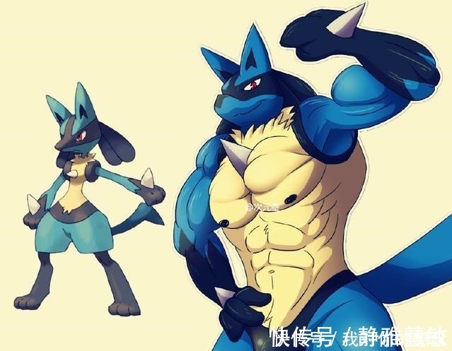 路卡利欧能不能学怪力