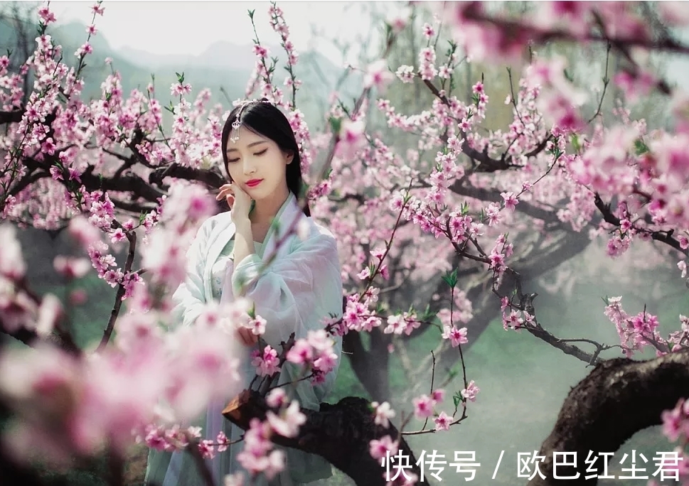 崔护!崔郊、崔护、崔颢,各自一首诗,一诗走红,传承千年