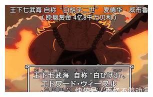 白胡子二世|海贼王：千万不能惹那些叫胡子的人，每一个都是惊天动地的大人物