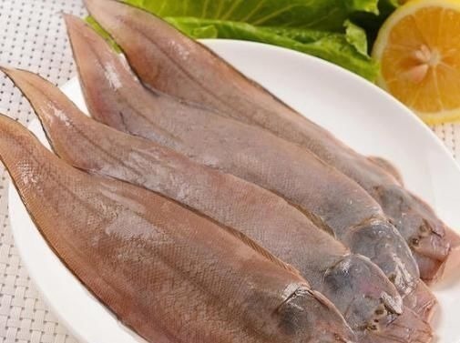 鳜鱼|这5种鱼无杂刺，适合老人小孩吃，营养美味还补钙，人人吃得起