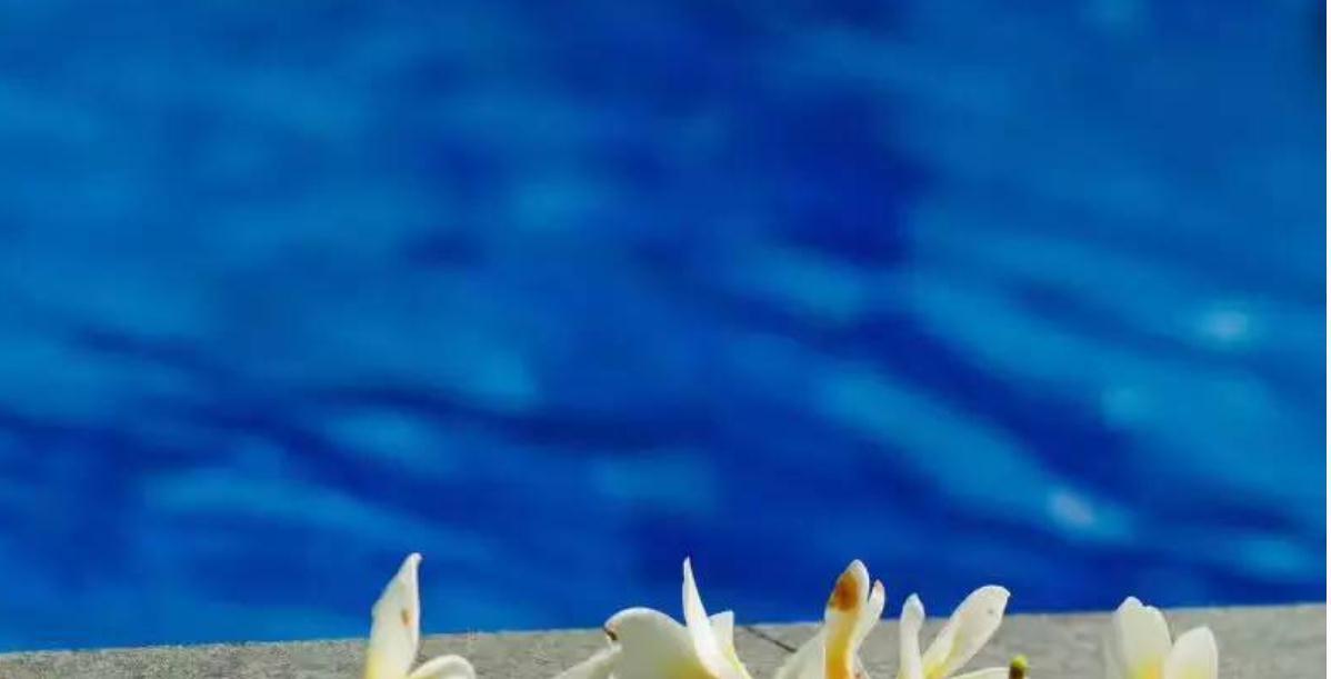 小夫妻|5岁男孩故意把青菜打翻在地,我让其道歉,孩子父母嫌弃我不懂事