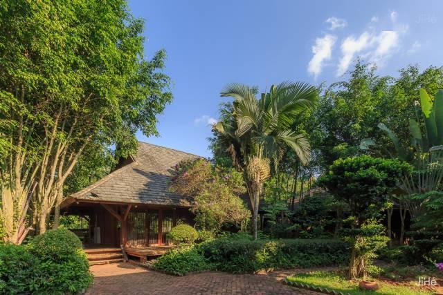 月亮升起的时候(下)依香,从未走远