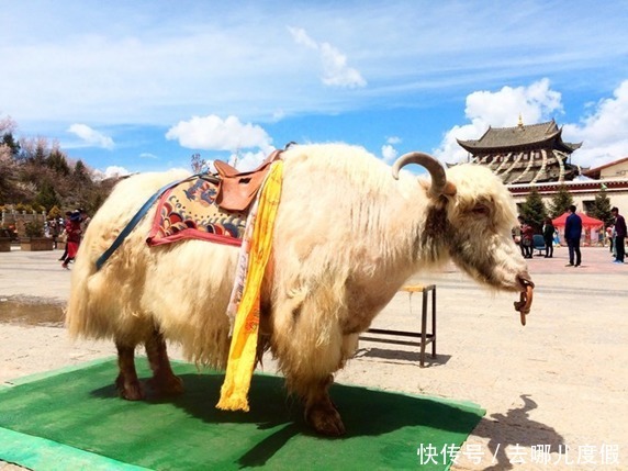 梯田|去云南怎么玩？—我的云南旅游亲身经历分享！最新云南旅游省心省钱攻略