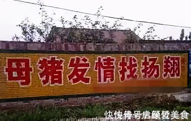 |谁说中国人不幽默？看看这些标语，太逗了简直