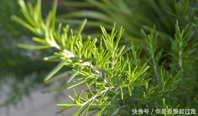 懂得宽容别|做人要厚道(经典)