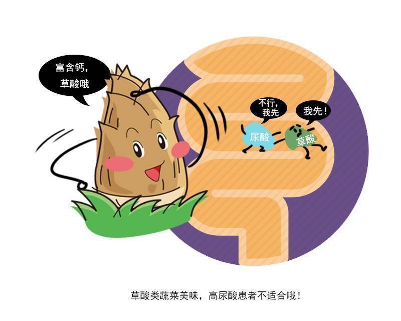 营养成分|春风又绿江南岸!最野的春天,可能就藏在这4道春菜里