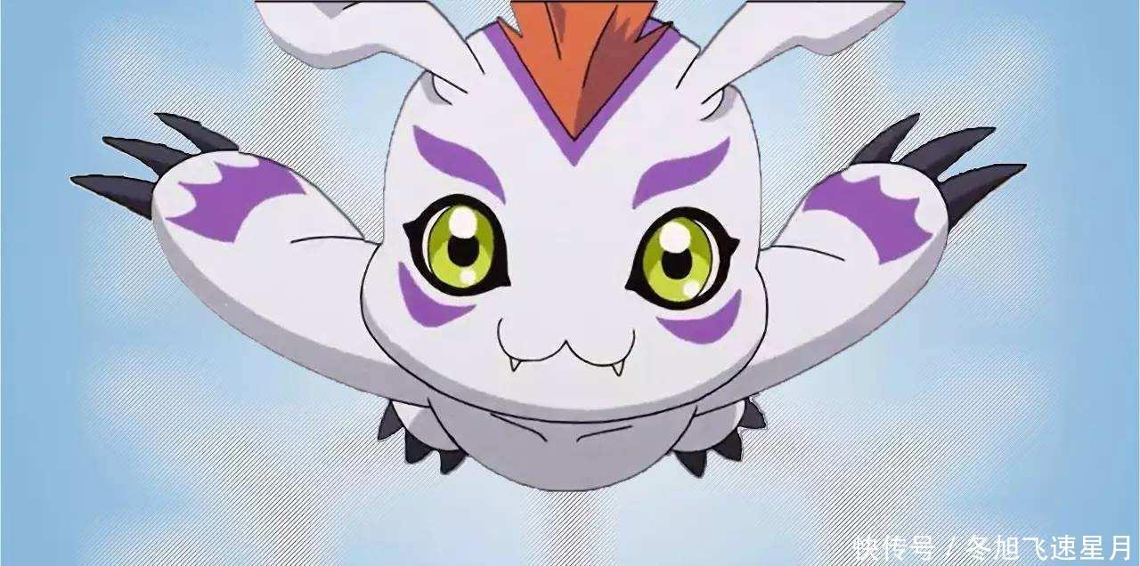 也就|数码宝贝世界观解读,这是一个怎样的世界数码兽的进化分支!