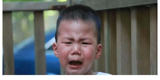 劉嘉玲|康康在《爸爸去哪兒》一出場就是“霸總”，其實他兒時也很可愛