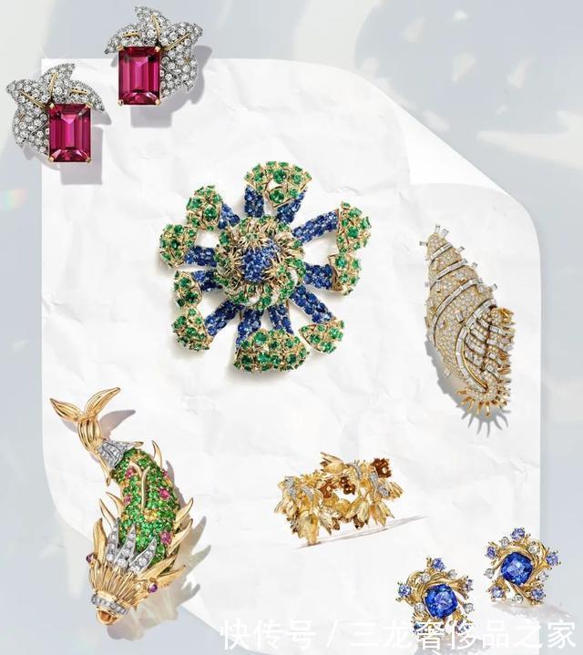 总听到“高珠”这个词!真正的高珠,到底长什么样子?!