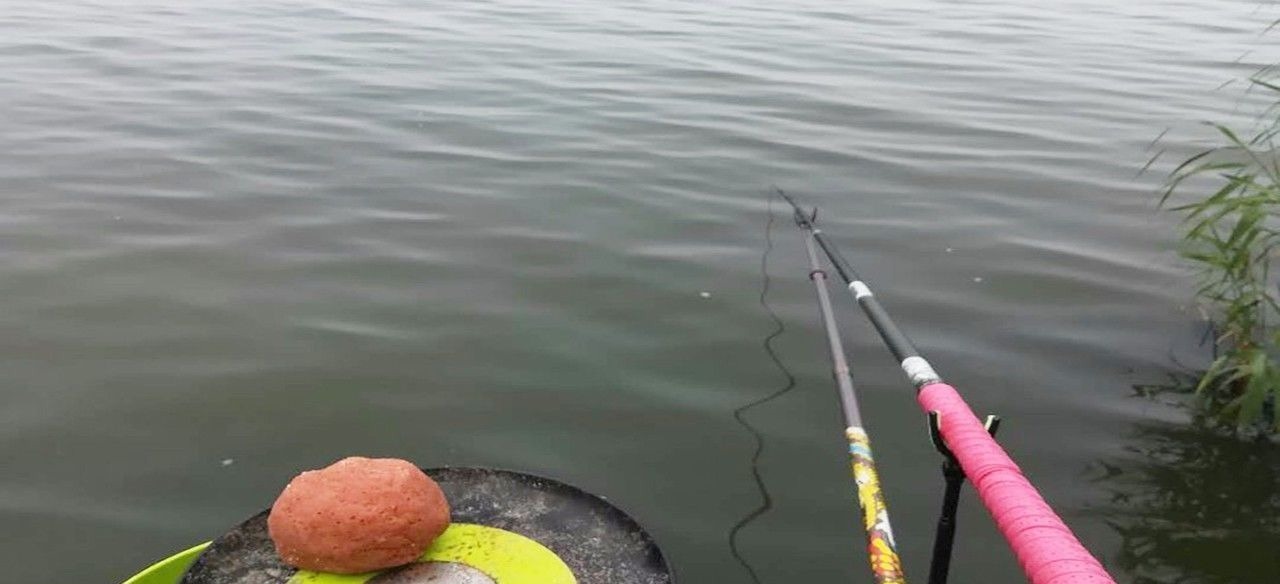 同样都是钓鱼,为何别人比你钓得多,秘密在这里