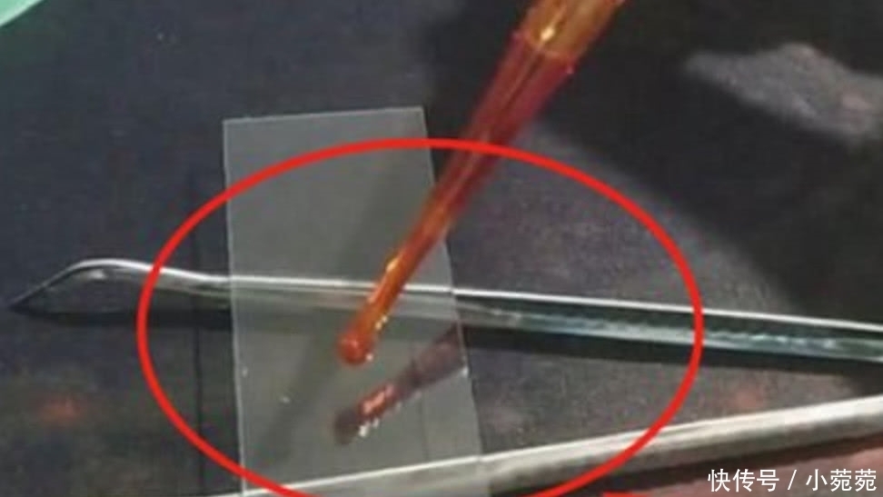 放大|老干妈到底干不干净?放大400倍显微镜下的结果,活该你能火