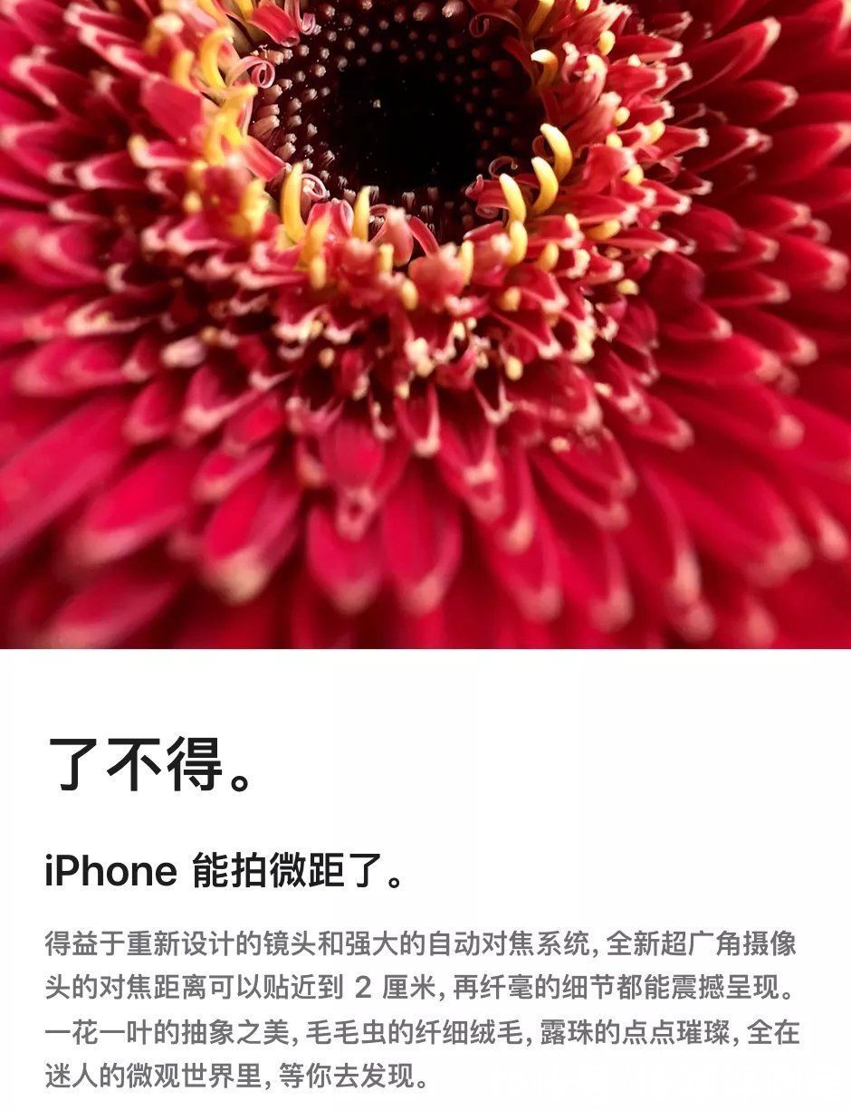 iPhone大更新，网友吐槽的问题终于解决了