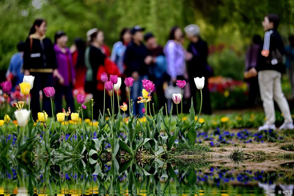 植物园姹紫嫣红是老人聚会的好地方【严建设】