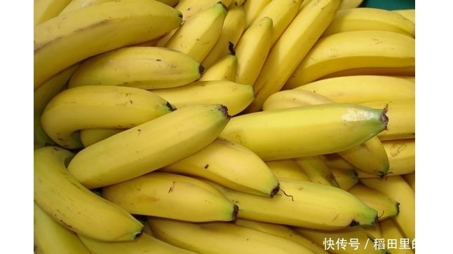 五种补肾食物千万别错过!!!