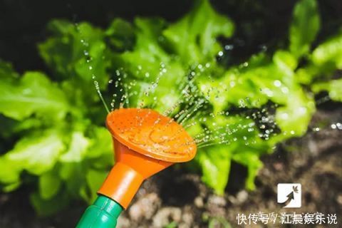 冰糖水|原来白糖这么厉害,可惜知道的人太少...看完跪了,赶紧收藏!