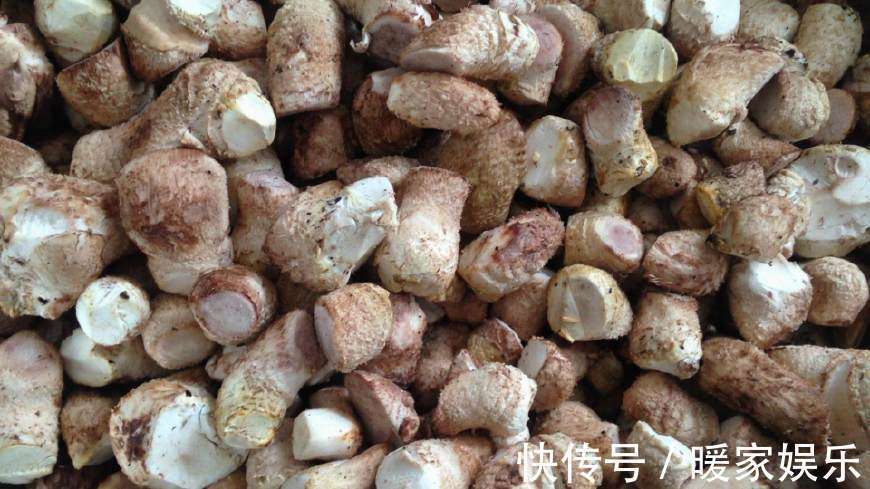 香菇|好多人买来扔掉,超市里2块钱一大堆,简单炒一炒,营养又美味!