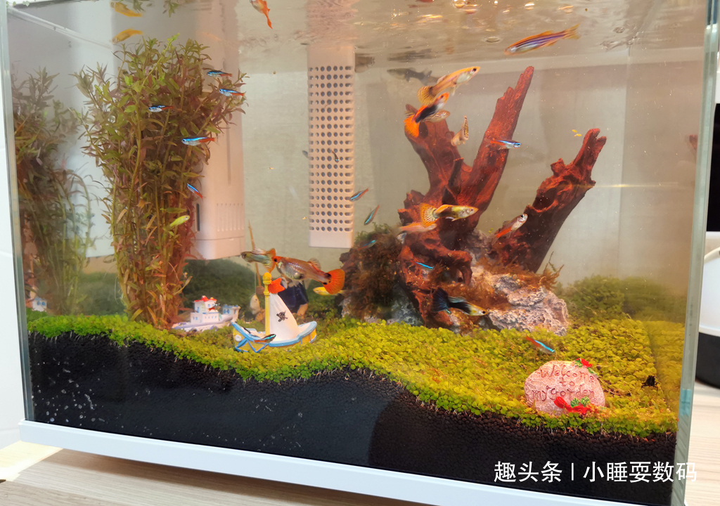 哪种鱼缸更适合养鱼画法几何AI智能鱼缸，水质监测还能自动喂食