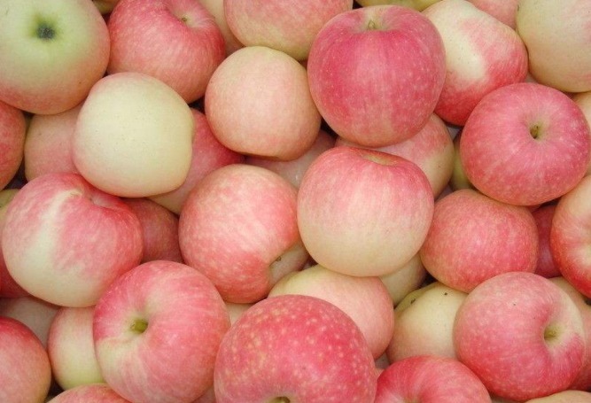 排毒|冬季养生，4种食物每天吃点，排毒养肝，调理血气，促进肝脏解毒