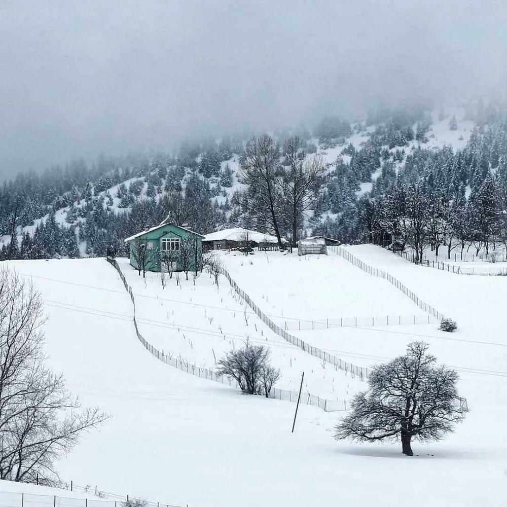 冰雪世界，温暖小屋