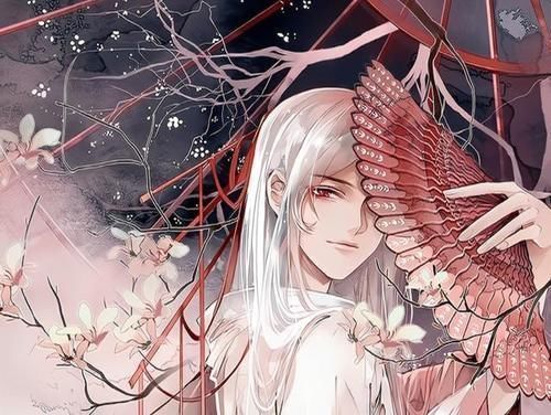 白黎$温柔腹黑VS可爱小财迷,我在古代努力攒钱把自己嫁了,书荒必备