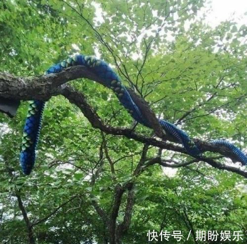 单词|“再也不想网购了迟早笑死在客服聊天里”哈哈哈哈