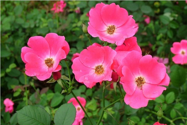 福气|每个晚年有福气的人,都在年轻时做了这四件事,才收获了福报!