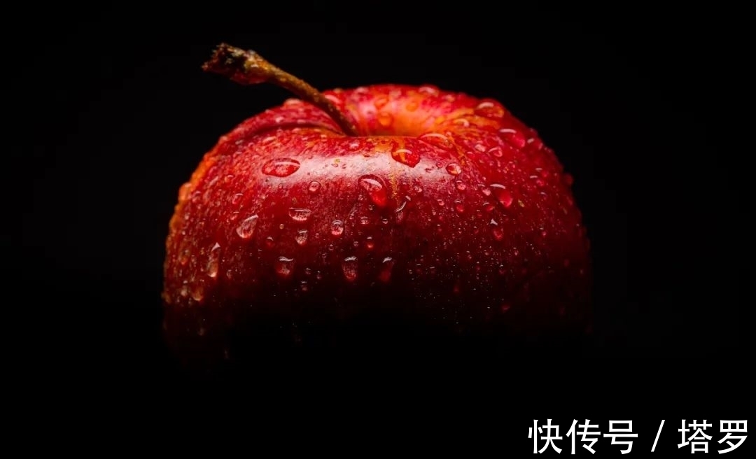 人类!所有人都能自行得出的哲学道理,只用四个词概括人间万象