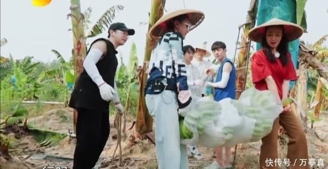 嘉賓 《向往的生活》最樸實嘉賓穿百十塊某寶同款外套全程干活圈粉無數(shù)