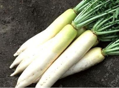 百合|养肺三个小秘方,简单又便宜,肺部不好的朋友不妨试一试