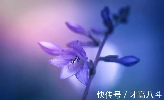 寄内!十位诗人写给妻子的诗,有怀念,有情话,有惋惜!