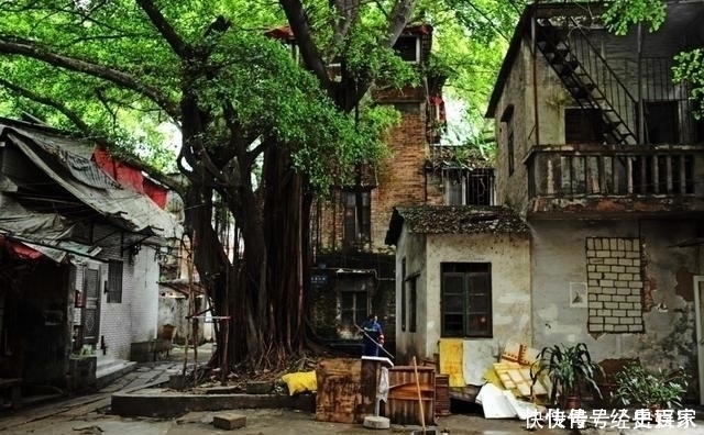 所有权|农村父母离世后，留下的宅基地，非农户口的子女能继承吗？