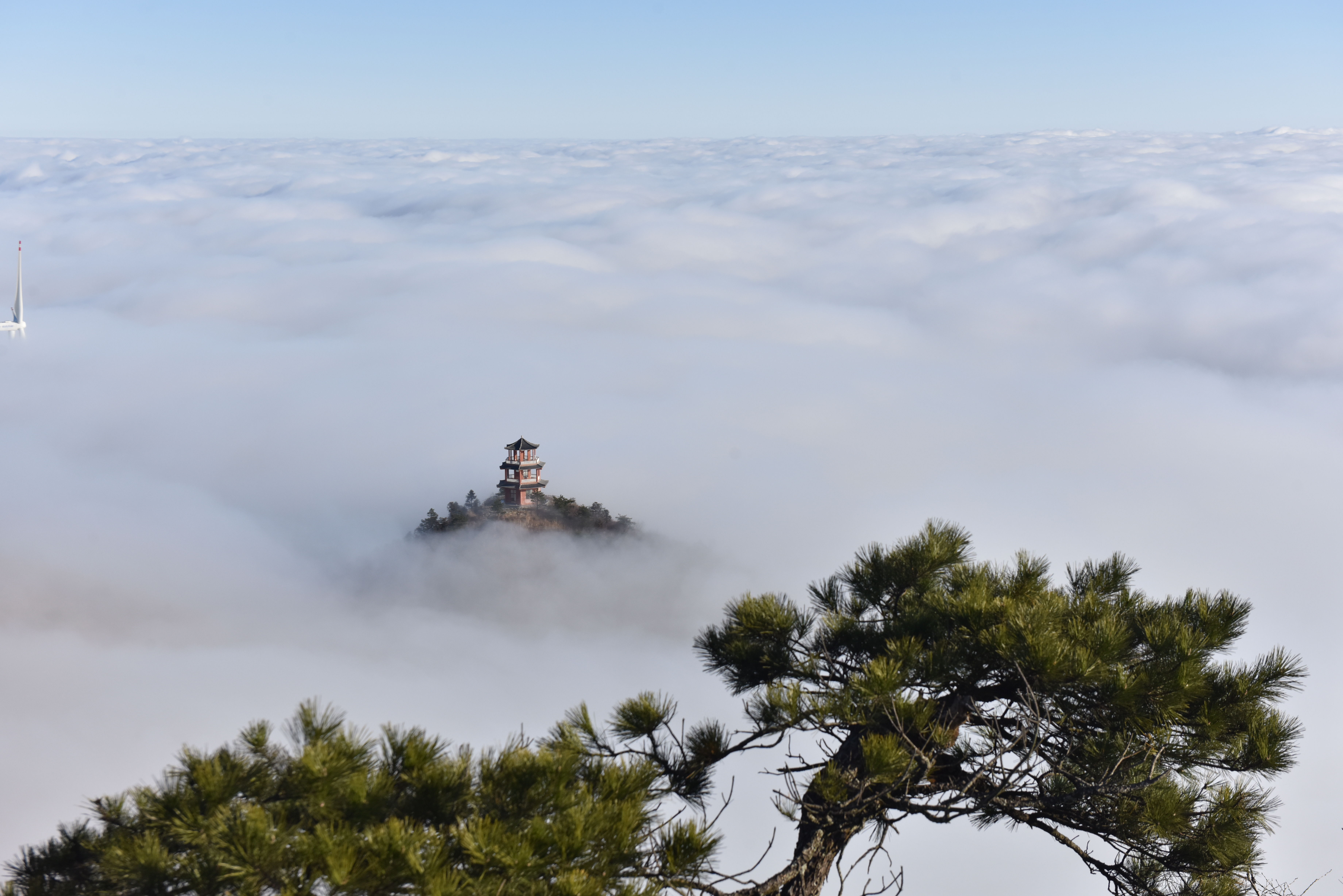 中年|仙境一般！一起围观白鹤尖云海